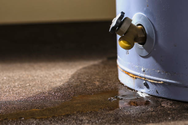 Best 24/7 water damage repair  in Vista, CA