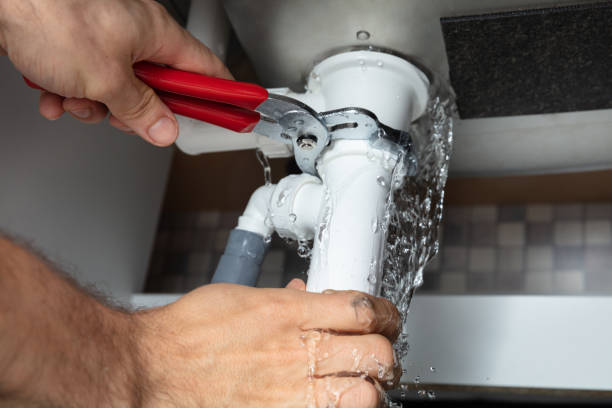 Best Ceiling water damage repair  in Vista, CA