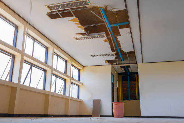 Best Ceiling water damage repair  in Vista, CA