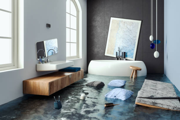 Best Flooded house restoration  in Vista, CA