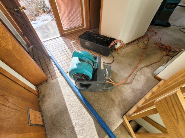 Best Local water damage restoration  in Vista, CA