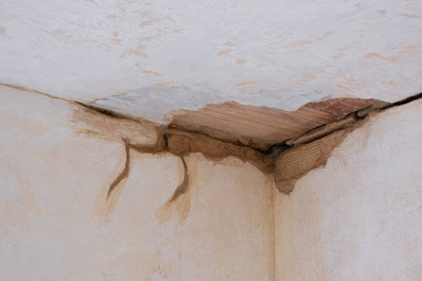 Best Basement water damage restoration  in Vista, CA