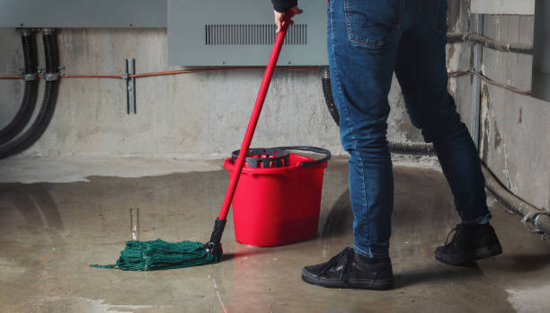 Best Commercial water damage restoration  in Vista, CA