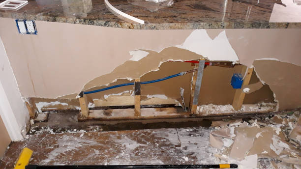Best Residential water damage restoration  in Vista, CA