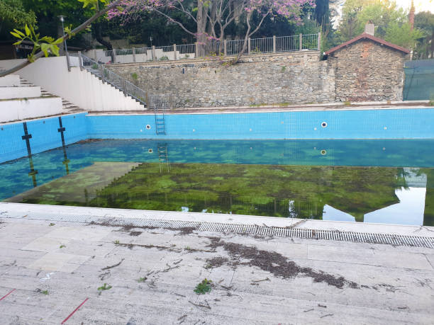 Best Flood restoration services  in Vista, CA