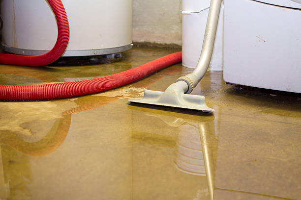 Best Water damage restoration near me  in Vista, CA