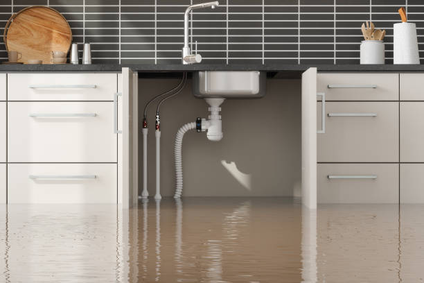 Best Sewage cleanup and water damage restoration  in Vista, CA