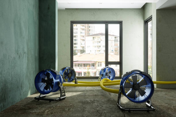 Best Fire Damage Restoration  in Vista, CA
