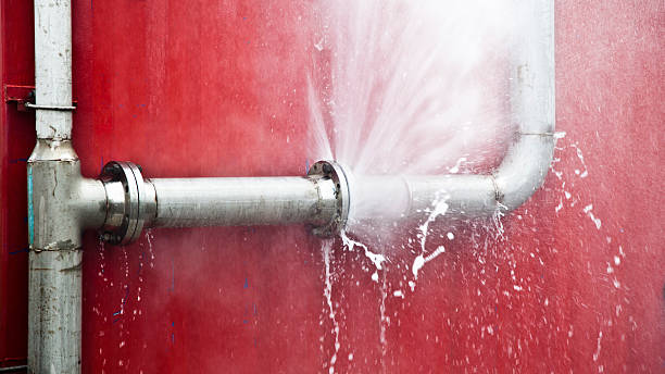 Best Water damage restoration near me  in Vista, CA