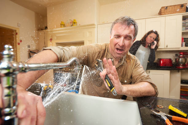 Best Water damage cleanup near me  in Vista, CA